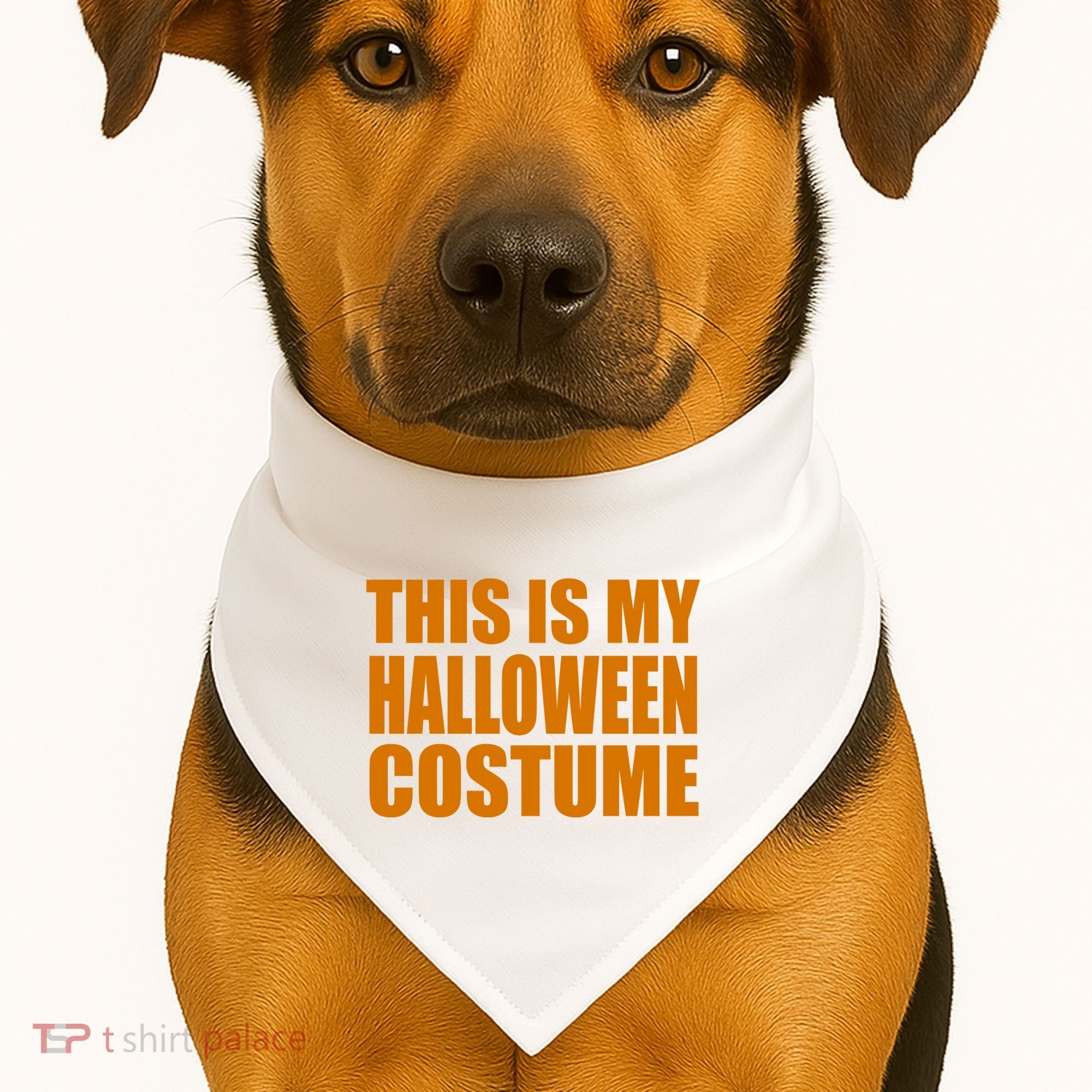 This Is My Halloween Costume Funny USA-Made Doggie Bandana