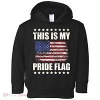 This Is My Pride Flag USA American 4th Of July Patriotic Toddler Hoodie thumb 0