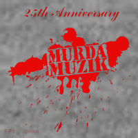 The Infamous Mobb Deep 25th Anniversary Murda Muzik Toddler Hoodie thumb 2