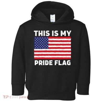 This Is My Pride Flag USA American Flag Toddler Hoodie