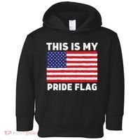 This Is My Pride Flag USA American Flag Toddler Hoodie thumb 0