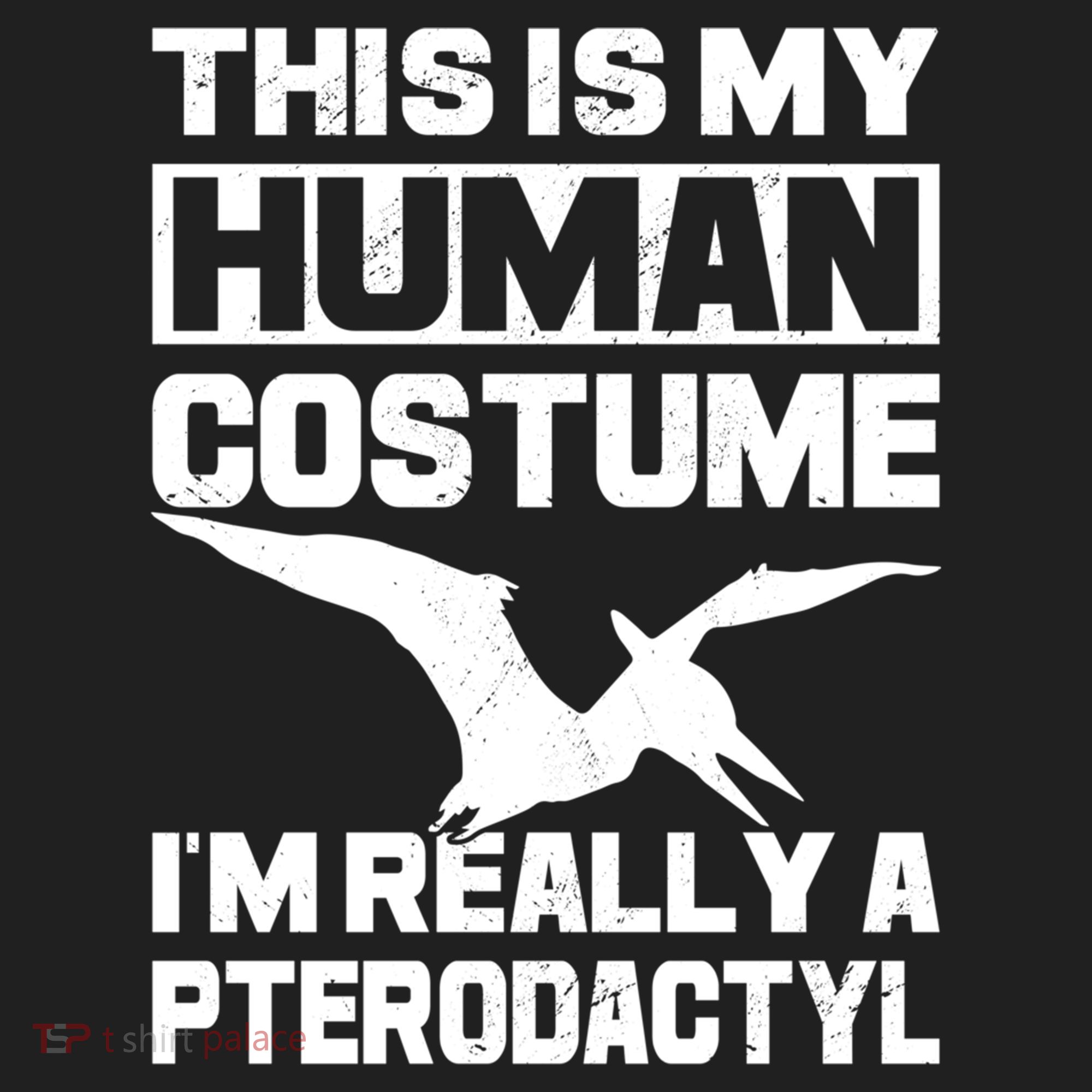 This Is My Hu I'm Really A Pterodactyl Halloween Dinosaur Gift Women's Sweatshirt