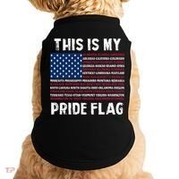 This Is My Pride Flag USA US Flag Patriotic Doggie Tank thumb 0