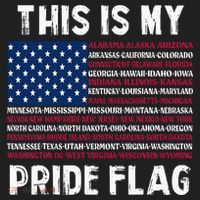 This Is My Pride Flag USA US Flag Patriotic Beanie thumb 2
