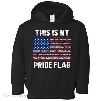 This Is My Pride Flag USA US Flag Patriotic Toddler Hoodie