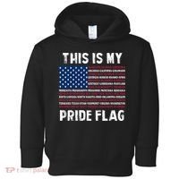 This Is My Pride Flag USA US Flag Patriotic Toddler Hoodie thumb 0