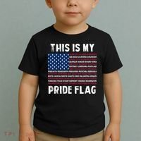 This Is My Pride Flag USA US Flag Patriotic Toddler T-Shirt thumb 2