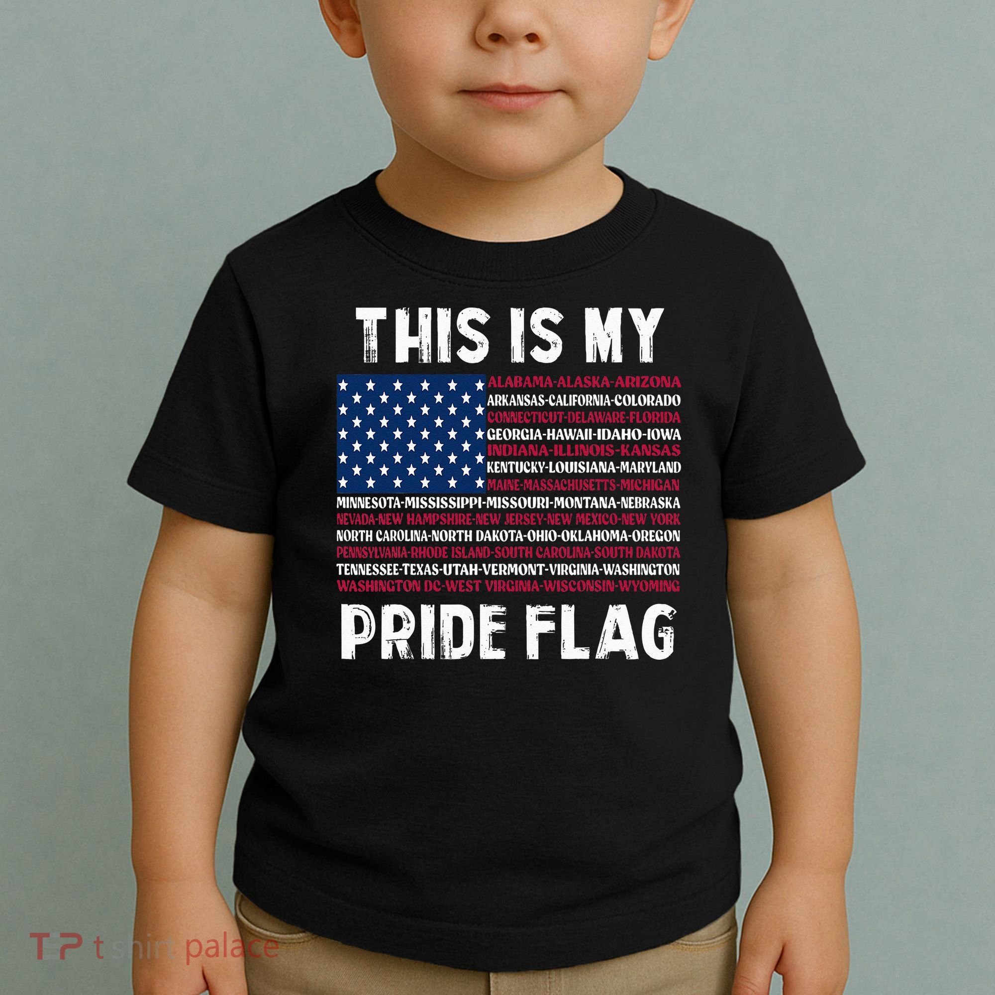 This Is My Pride Flag USA US Flag Patriotic Toddler T-Shirt