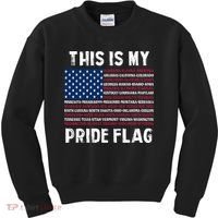 This Is My Pride Flag USA US Flag Patriotic Kids Sweatshirt thumb 0