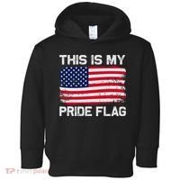 This Is My Pride Flag Toddler Hoodie thumb 0