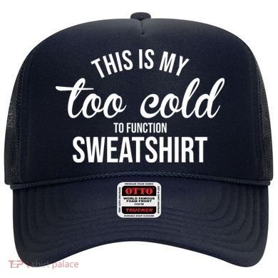 This Is My Too Cold To Function Sweatshirt Hat