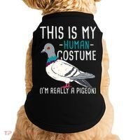 This Is My Human Costume Pigeon Racing Lover Bird Breeder Doggie Tank thumb 0