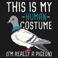 This Is My Human Costume Pigeon Racing Lover Bird Breeder Women's Hoodie thumb 2