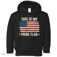 This Is My Pride Flag USA American Toddler Hoodie thumb 0
