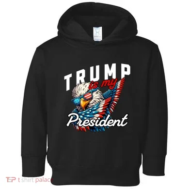 Toddler Hoodie