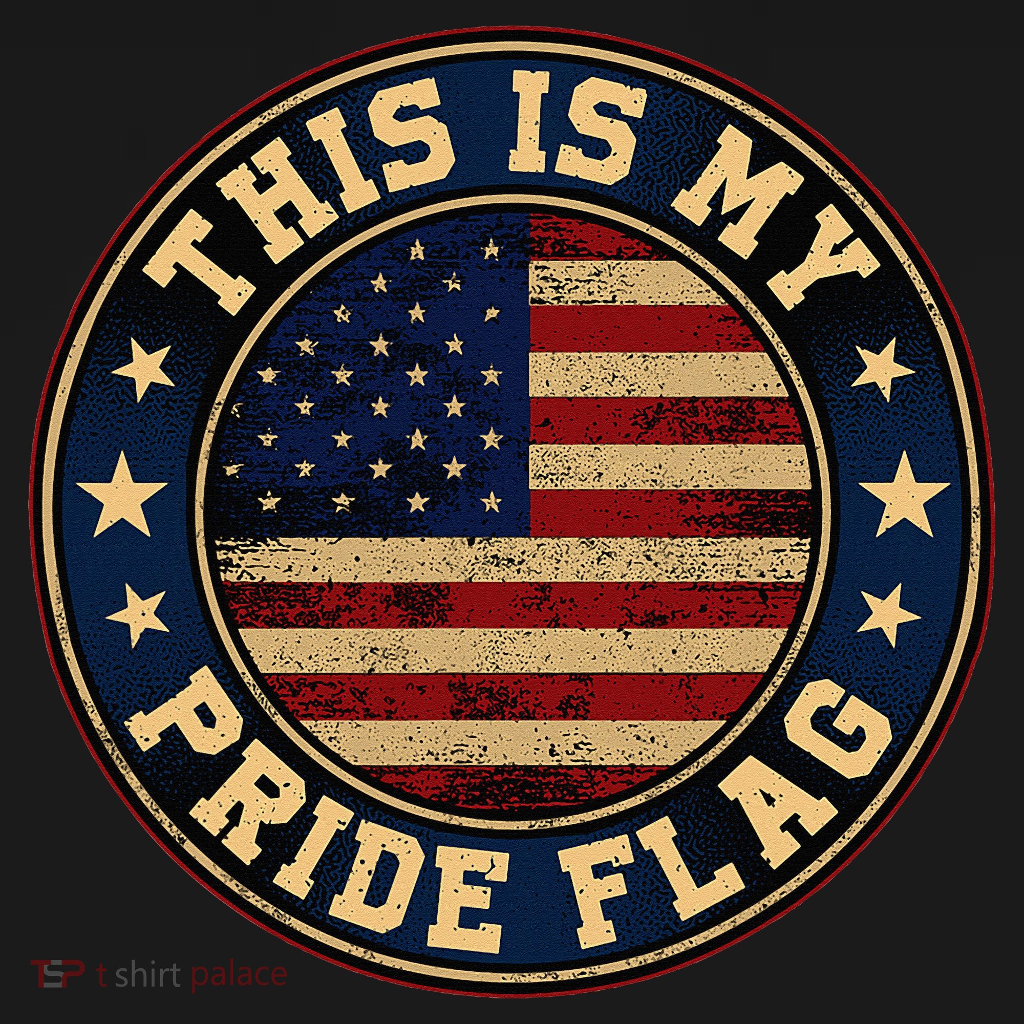 This Is My Pride Flag American Flag Womens Funnel Neck Pullover Hood