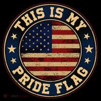 This Is My Pride Flag American Flag Women's Hoodie thumb 2