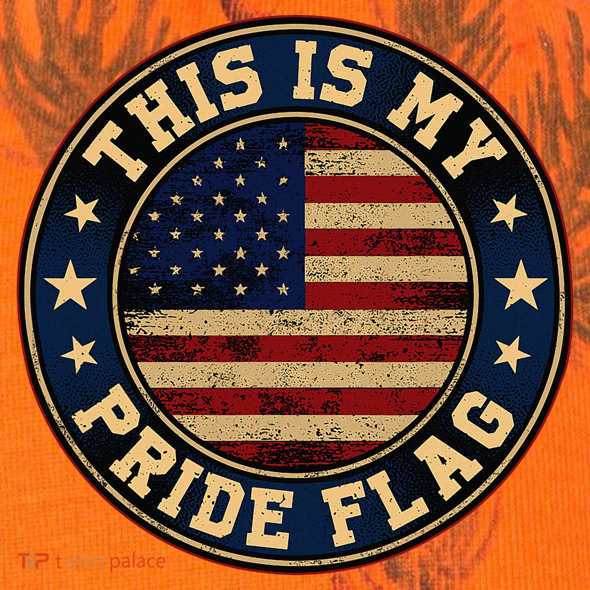 This Is My Pride Flag American Flag Kati Licensed 12" Camo Cuffed Beanie