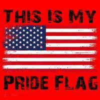This Is My Pride Flag USA Patriotic American Santa Hat thumb 1