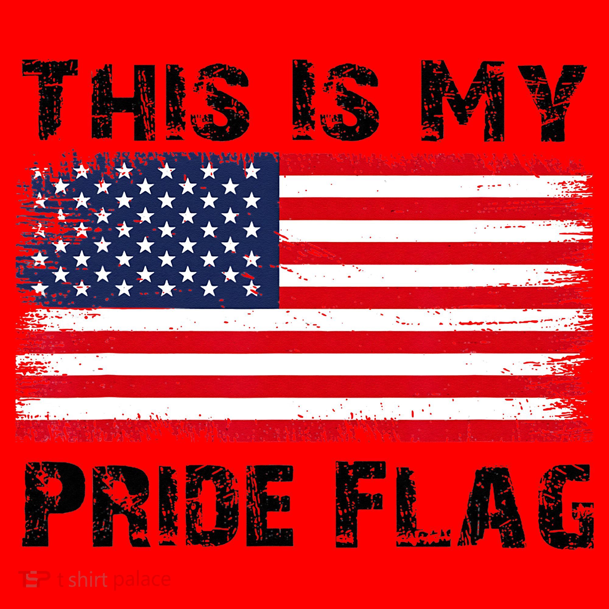 This Is My Pride Flag USA Patriotic American Santa Hat