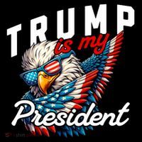 Trump Is My President Toddler Hoodie thumb 2