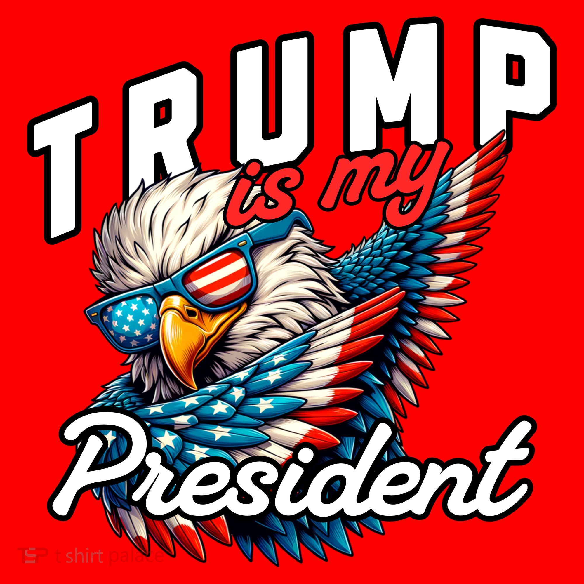Trump Is My President Santa Hat