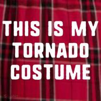 This Is My Tornado Halloween Costume Lazy Easy Last Minute Women's Flannel Plaid Pajama Pants thumb 2