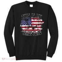 This Is My Pride Flag USA American Patriotic Sweatshirt thumb 0