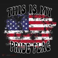 This Is My Pride Flag USA American Patriotic Women's Hoodie thumb 2