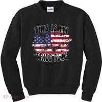 This Is My Pride Flag USA American Patriotic Kids Sweatshirt thumb 0