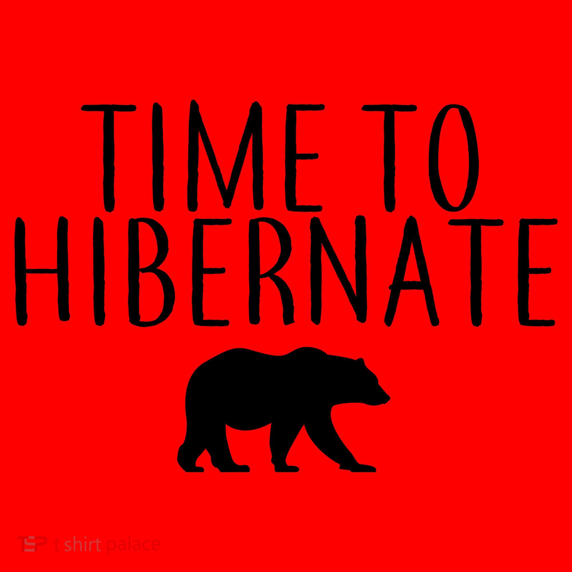Time To Hibernate Santa Hat