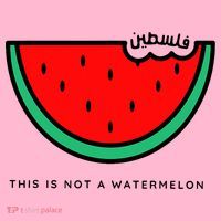 This Is Not A Watermelon Palestine Collection Coaster thumb 2