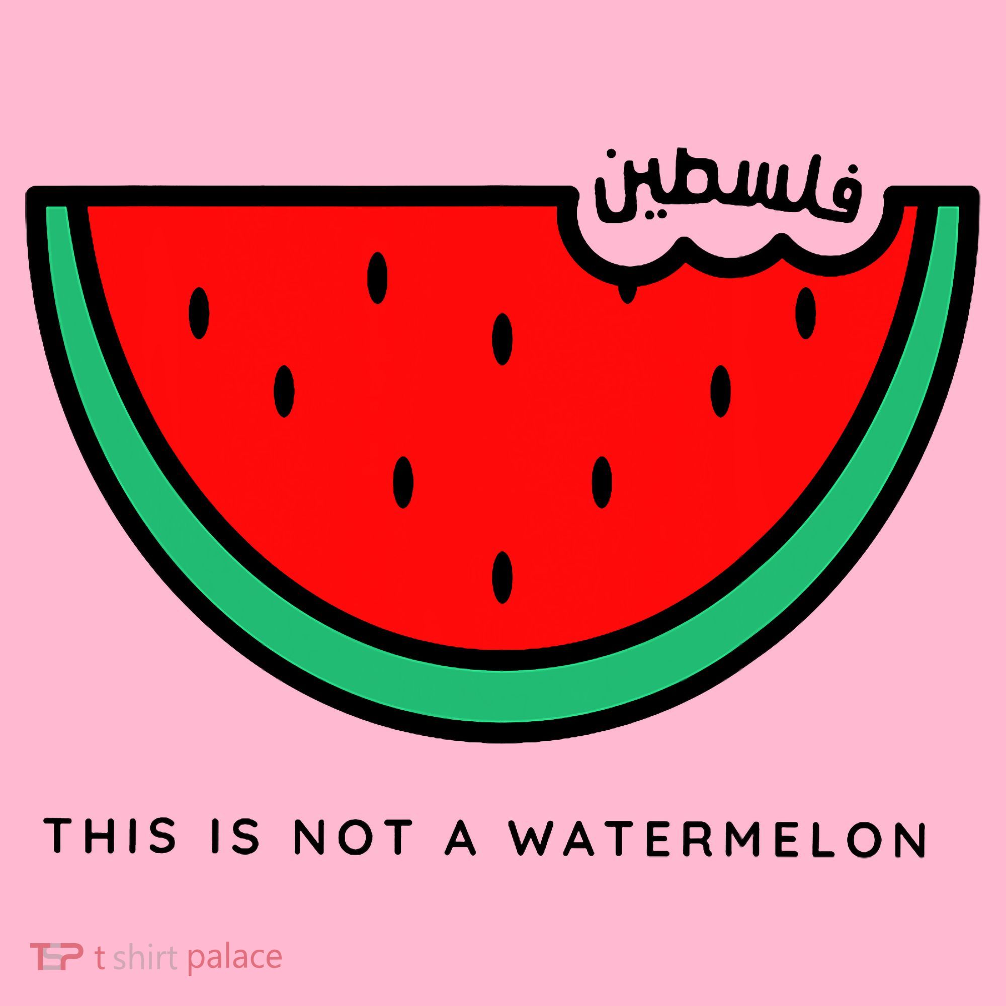 This Is Not A Watermelon Palestine Collection Coaster