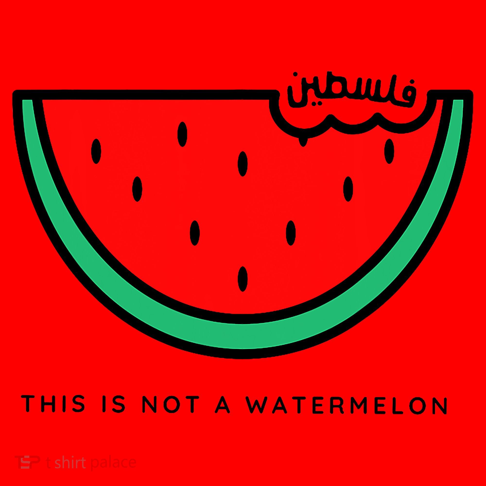 This Is Not A Watermelon Palestine Collection Santa Hat