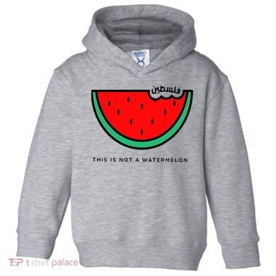 This Is Not A Watermelon Palestine Collection Toddler Hoodie