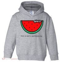 This Is Not A Watermelon Palestine Collection Toddler Hoodie thumb 0