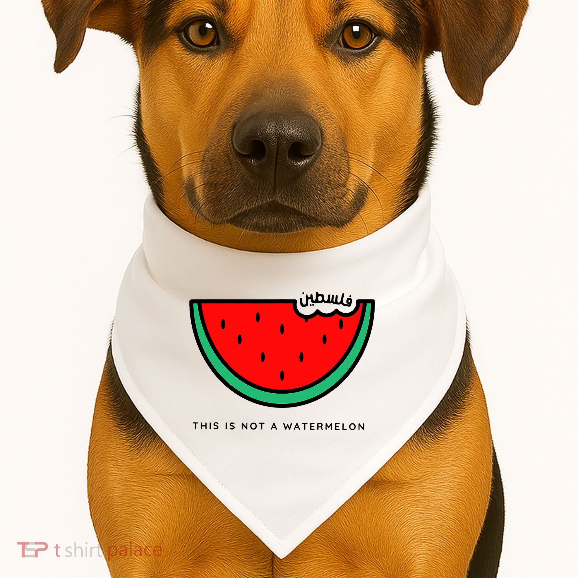 This Is Not A Watermelon Palestine Collection USA-Made Doggie Bandana