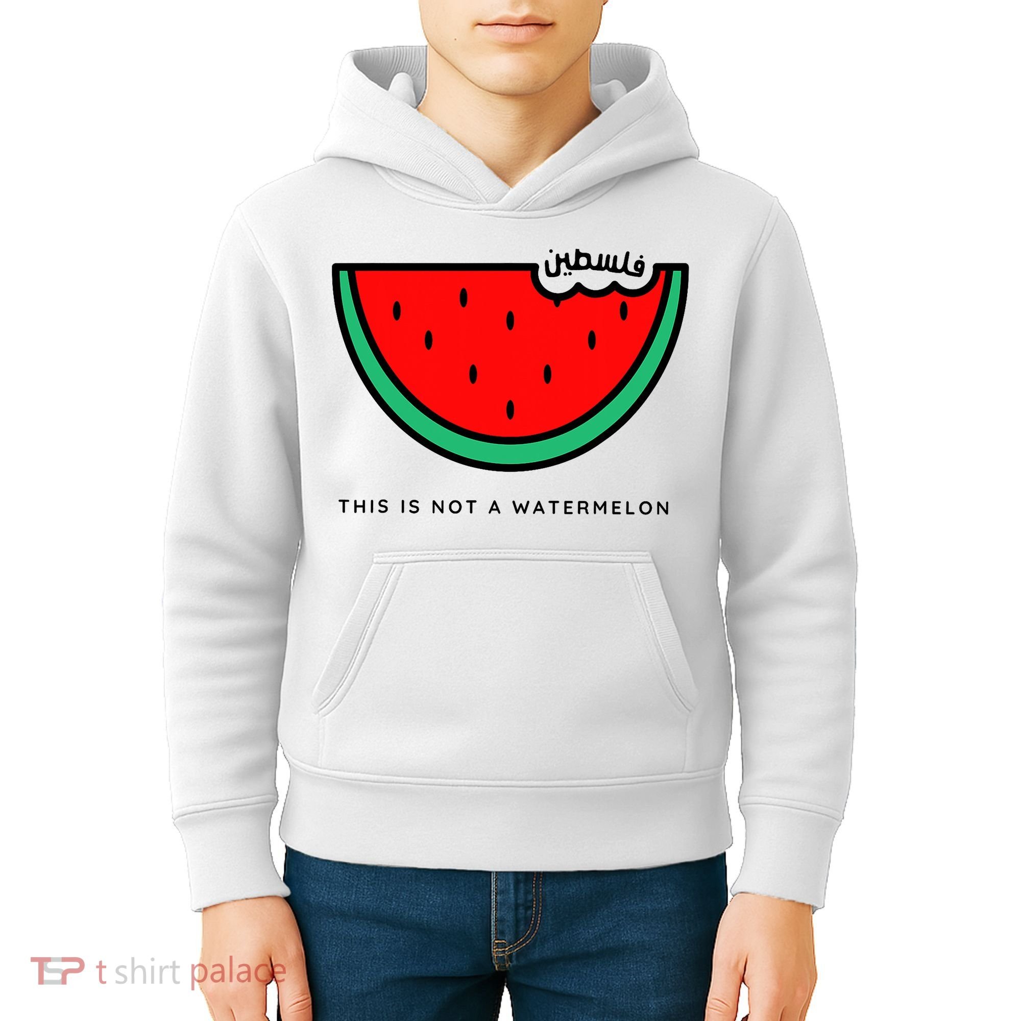This Is Not A Watermelon Palestine Collection Kids Hoodie