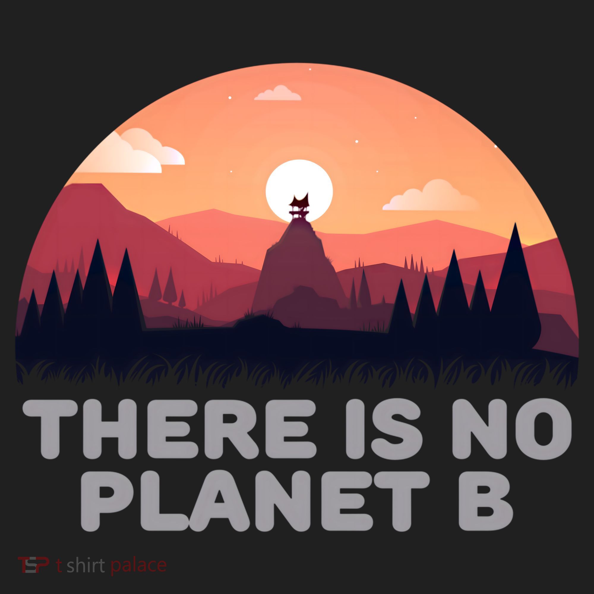 There Is No Planet B Save The Environt Save Earth Gift Women's Sweatshirt