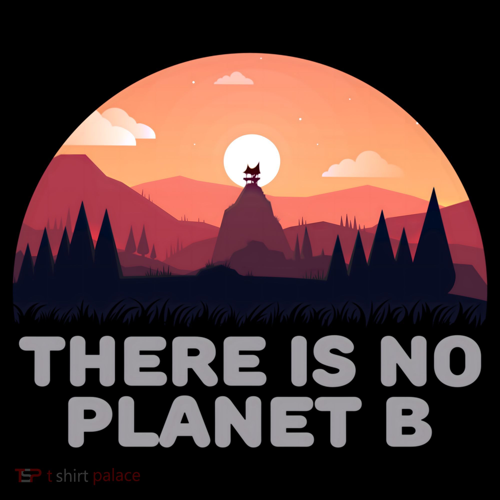 There Is No Planet B Save The Environt Save Earth Gift Women's Hoodie
