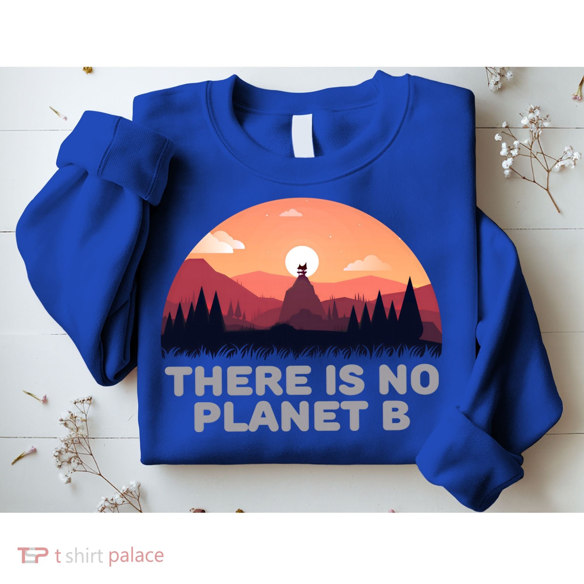There Is No Planet B Save The Environt Save Earth Gift Sweatshirt