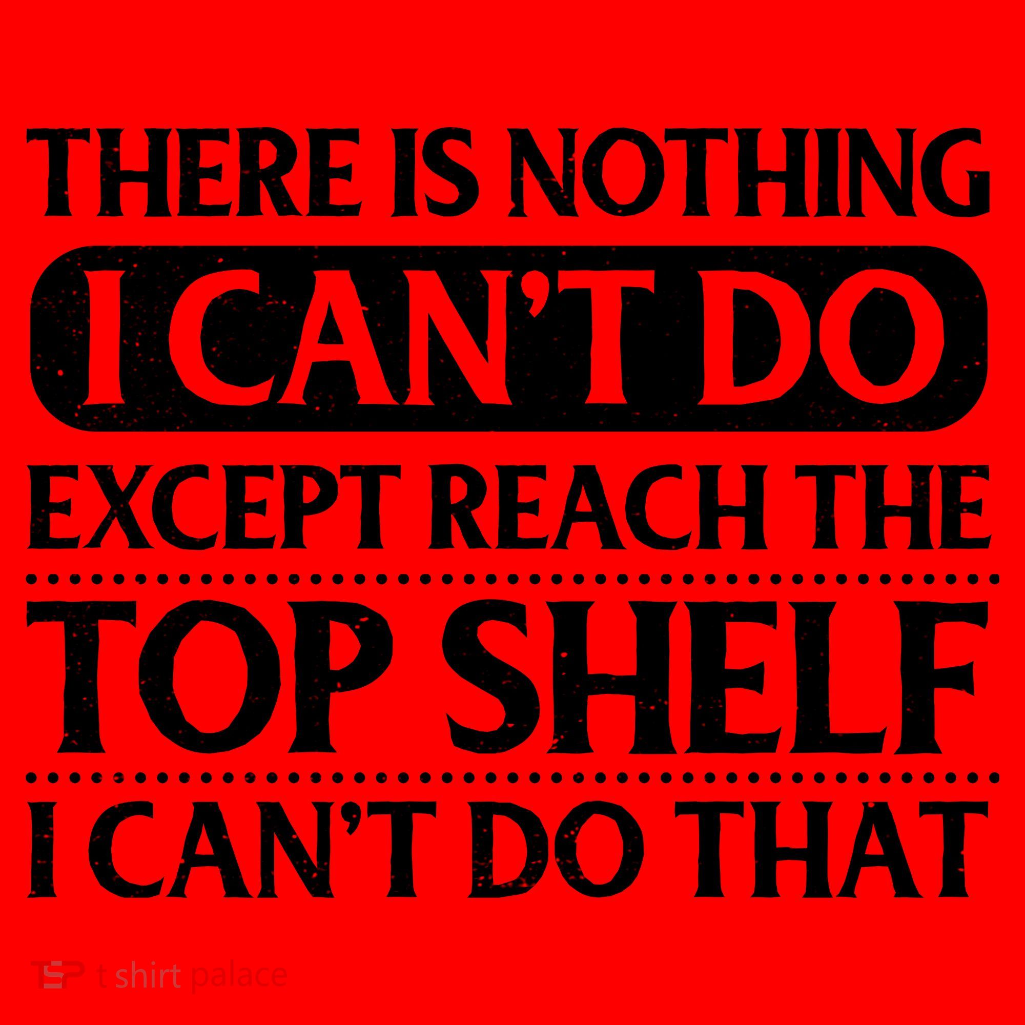 There Is Nothing I Cant Do. Except Reach The Top Shelf. I Cant Do That Santa Hat
