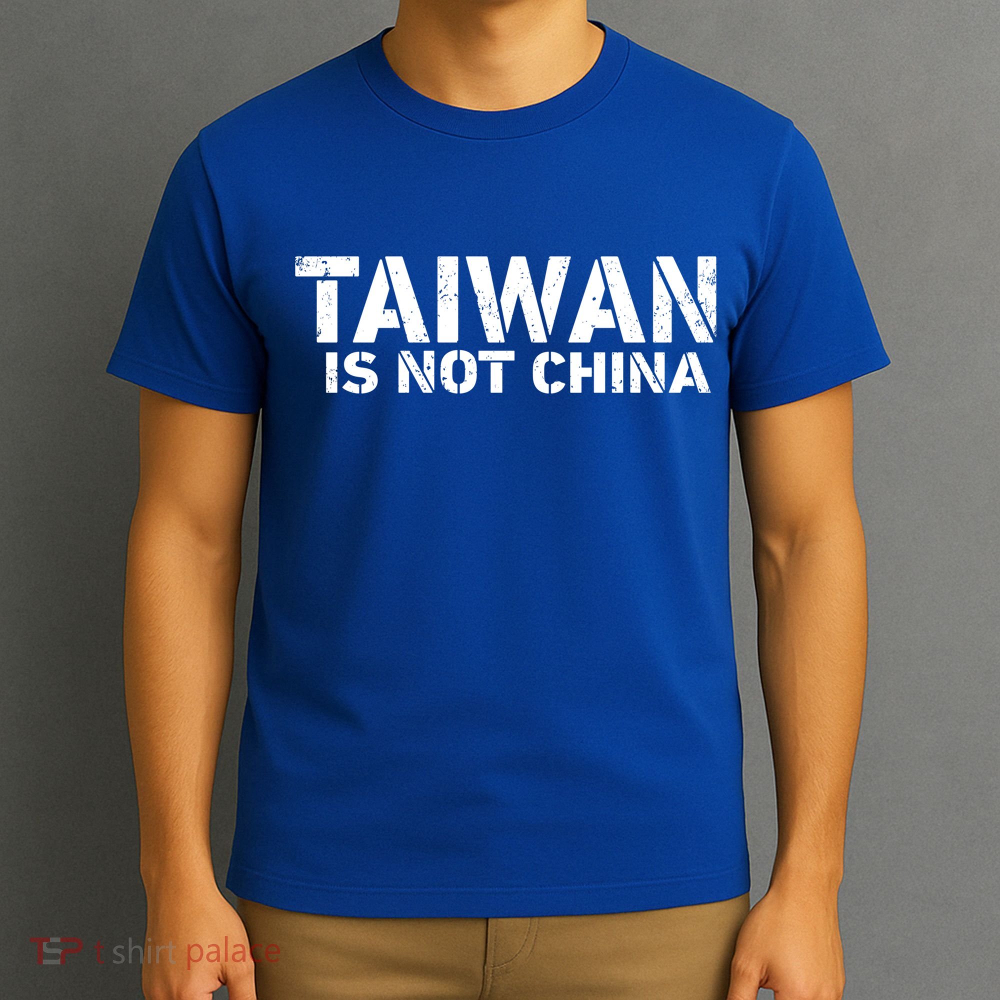 Taiwan Is Not China Costume Support And Defend Democracy Gift T-Shirt