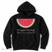 This Is Not A Watermelon Palestine Flag Hoodie thumb 0