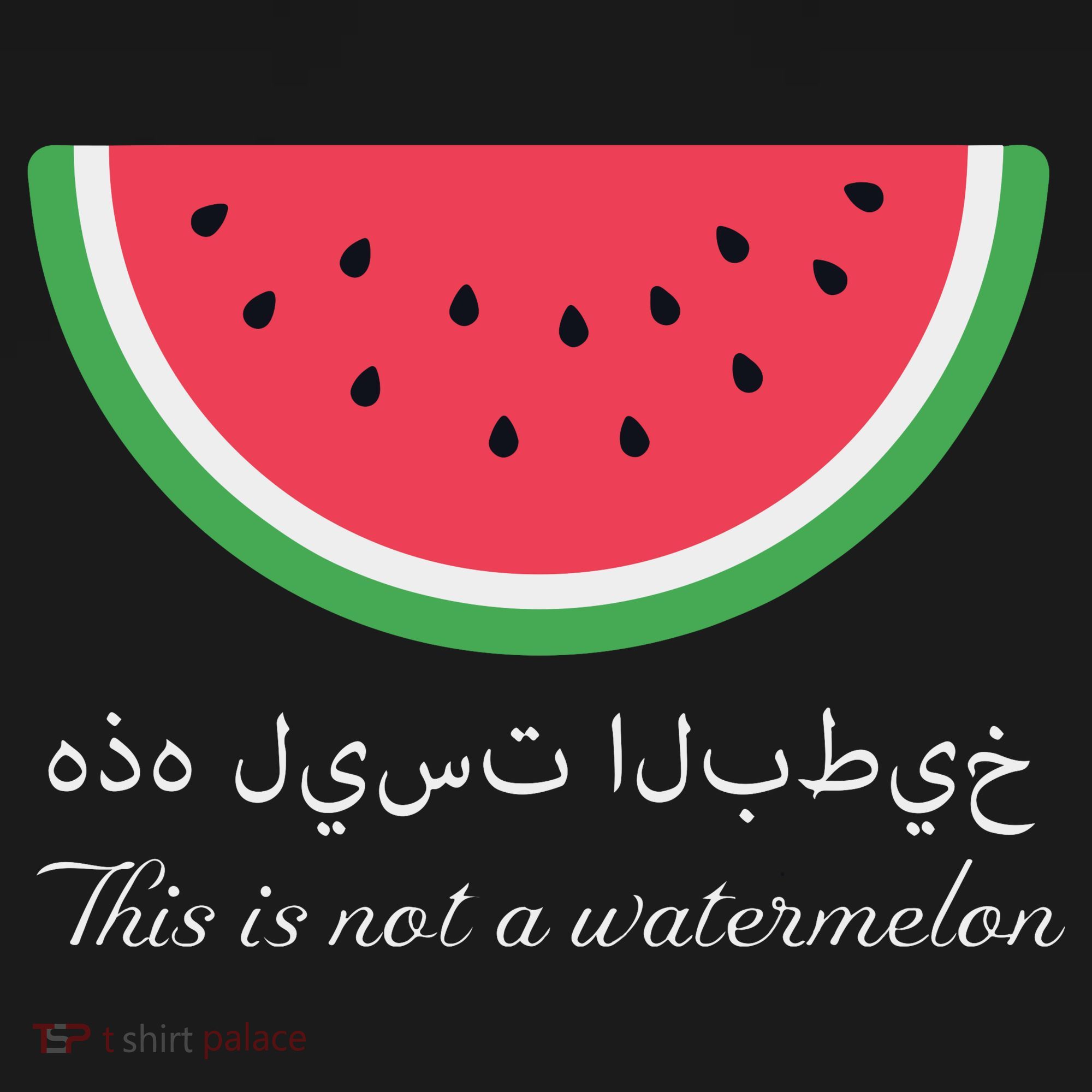 This Is Not A Watermelon Palestine Flag Hoodie