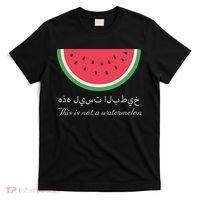 This Is Not A Watermelon Palestine Flag T-Shirt thumb 0