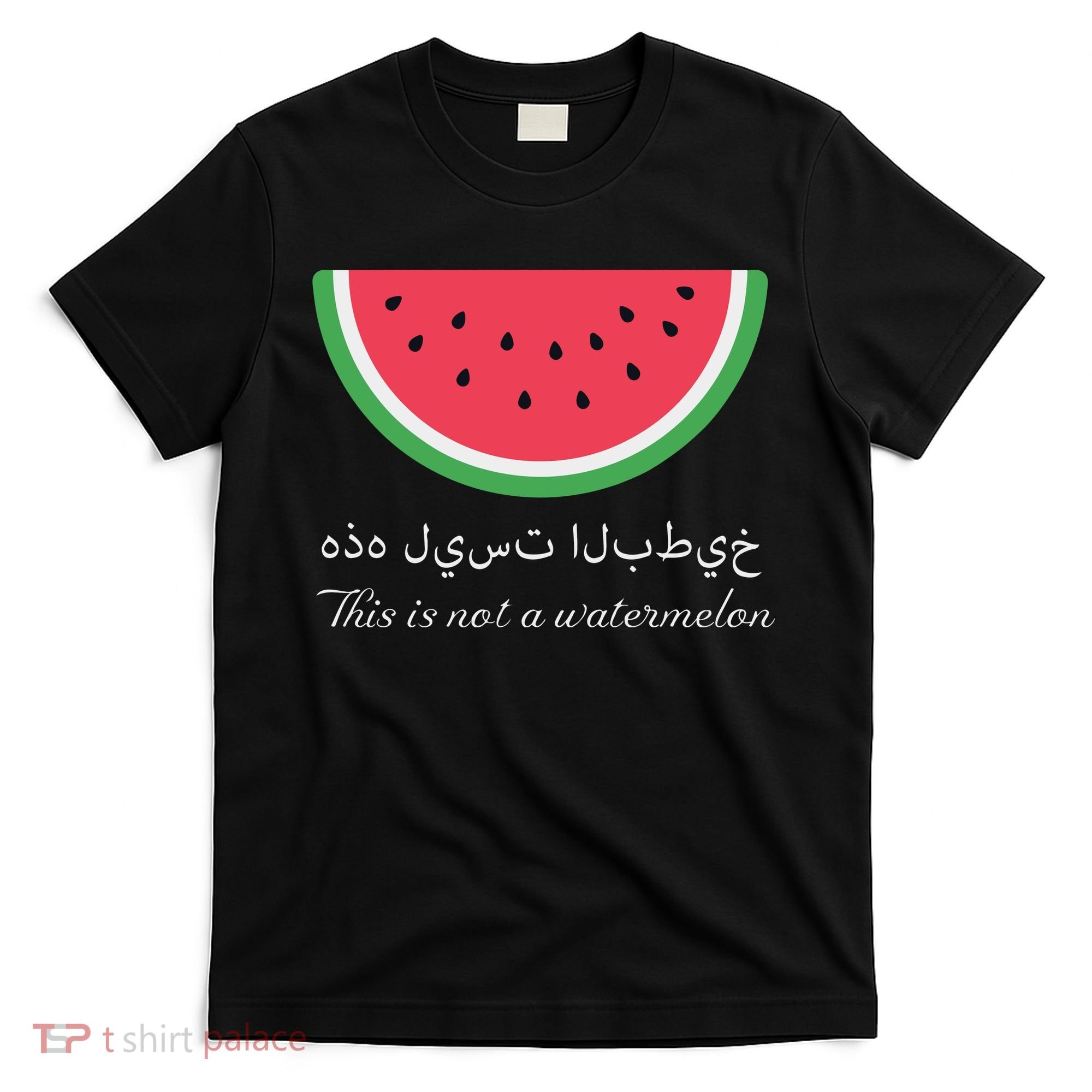 This Is Not A Watermelon Palestine Flag T-Shirt