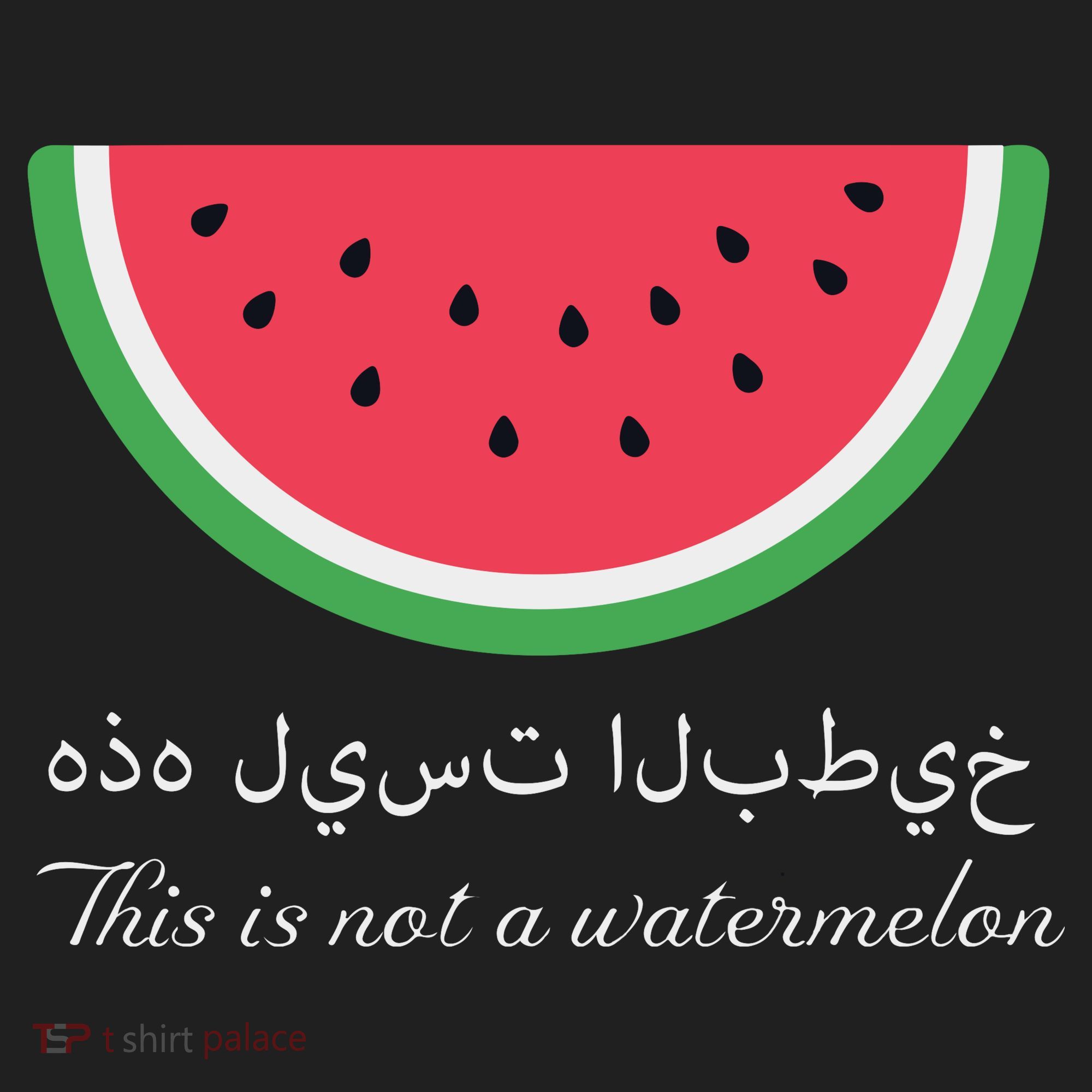 This Is Not A Watermelon Palestine Flag Beanie
