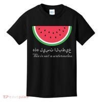 This Is Not A Watermelon Palestine Flag Kids T-Shirt thumb 0