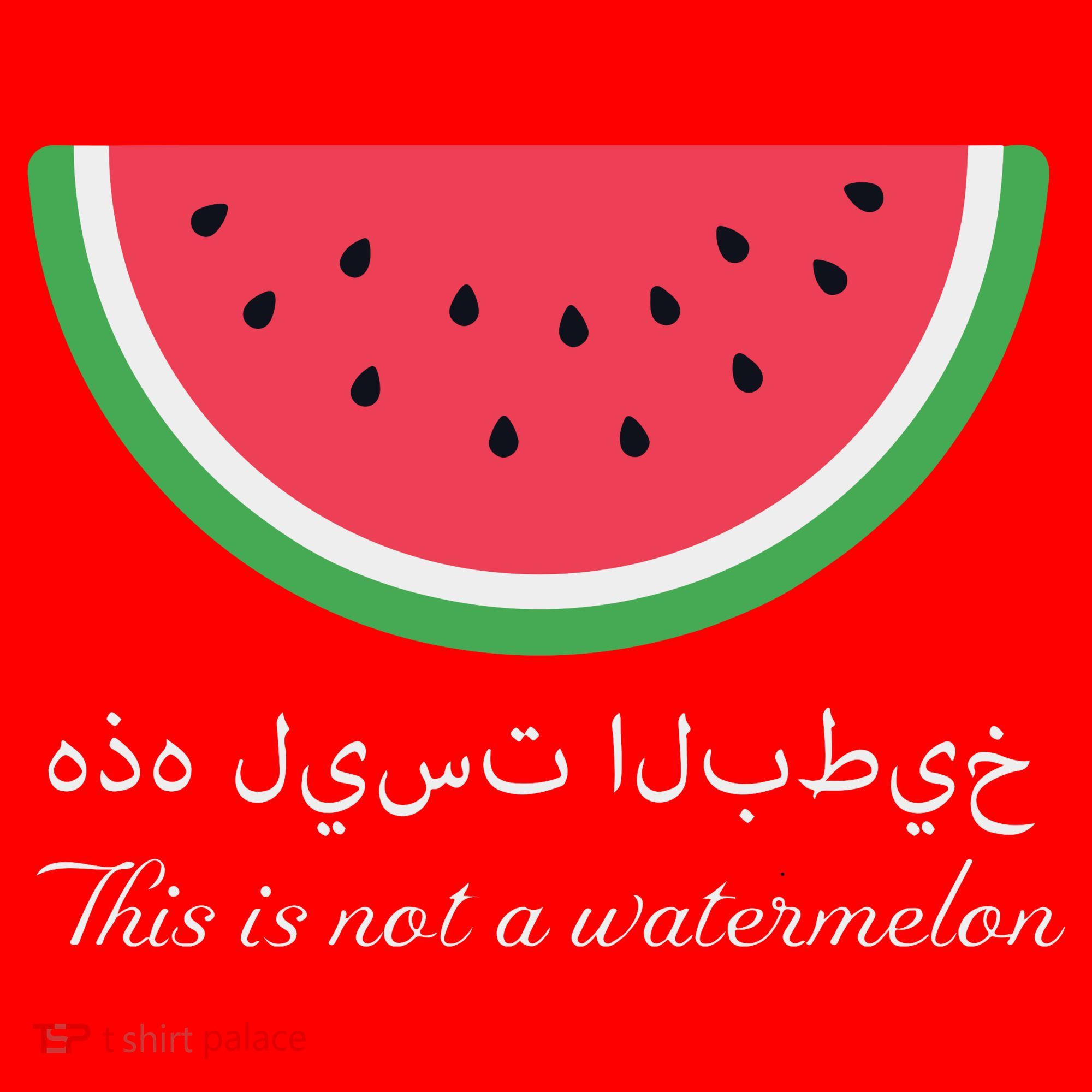 This Is Not A Watermelon Palestine Flag Santa Hat
